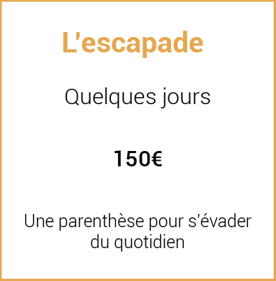 formule 01